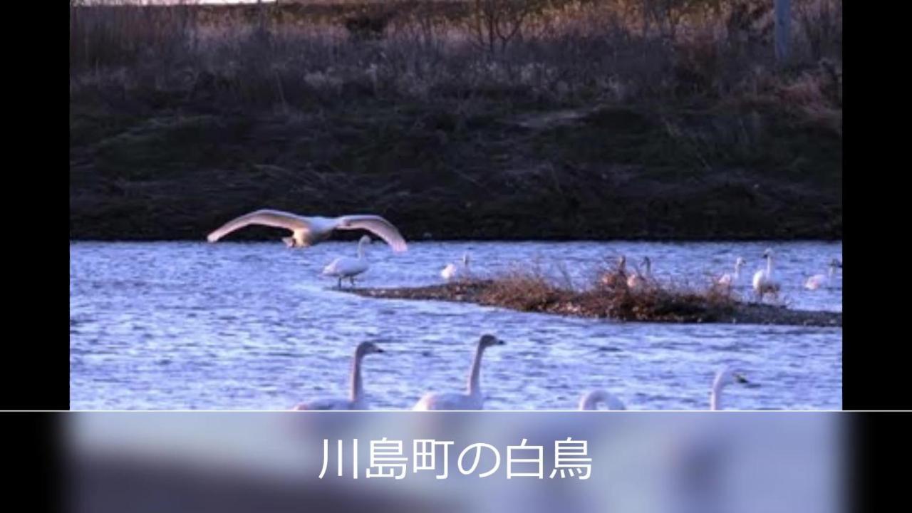 Tsurugashima Le Ciel Spa & Resort (Adults Only) מראה חיצוני תמונה